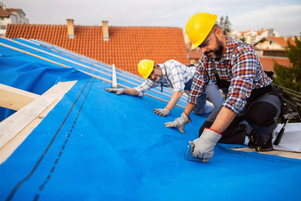 Best Storm Damage Roof Repair  in Fallsburg, NY